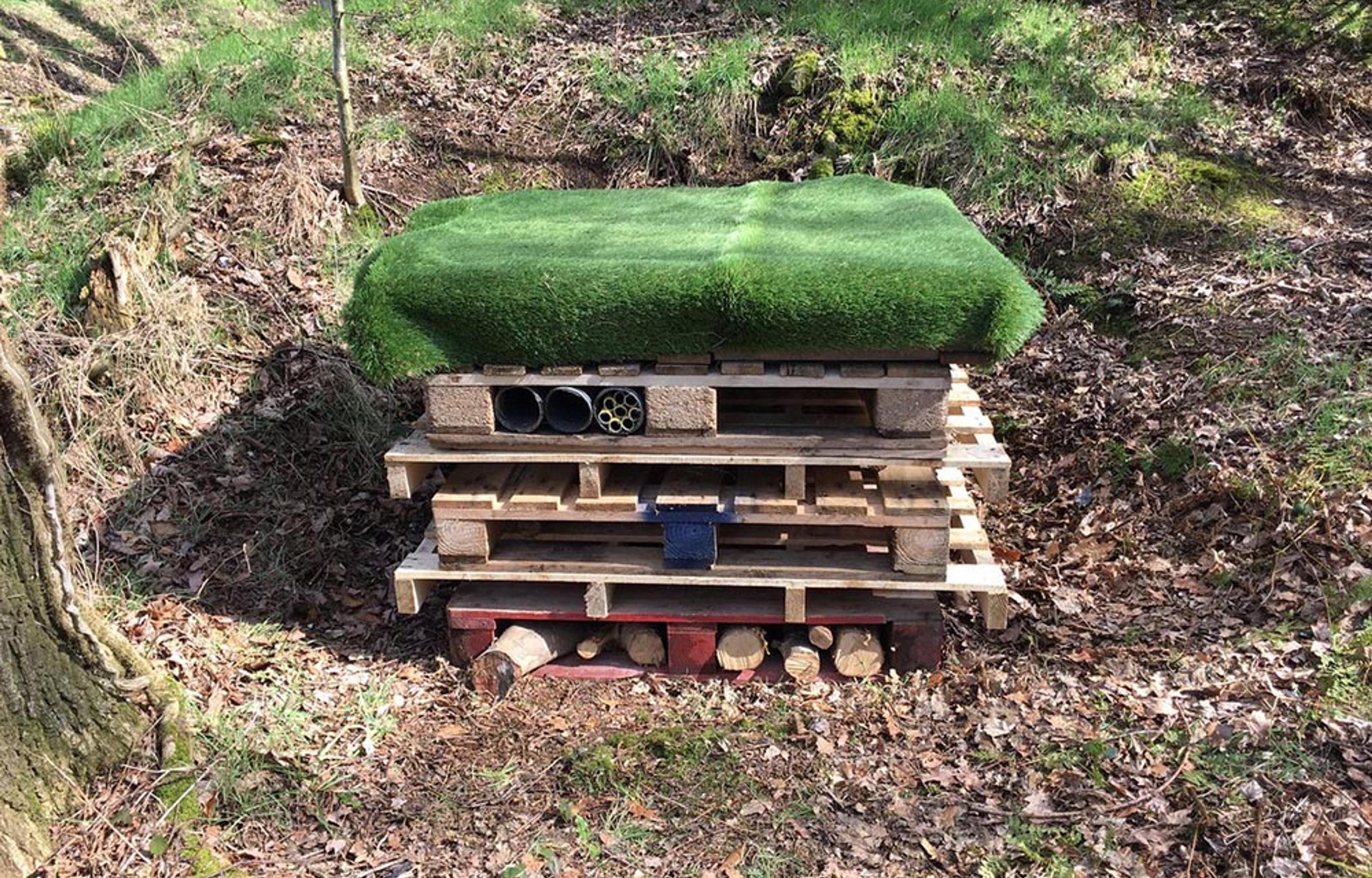 Baberton wildlife hide