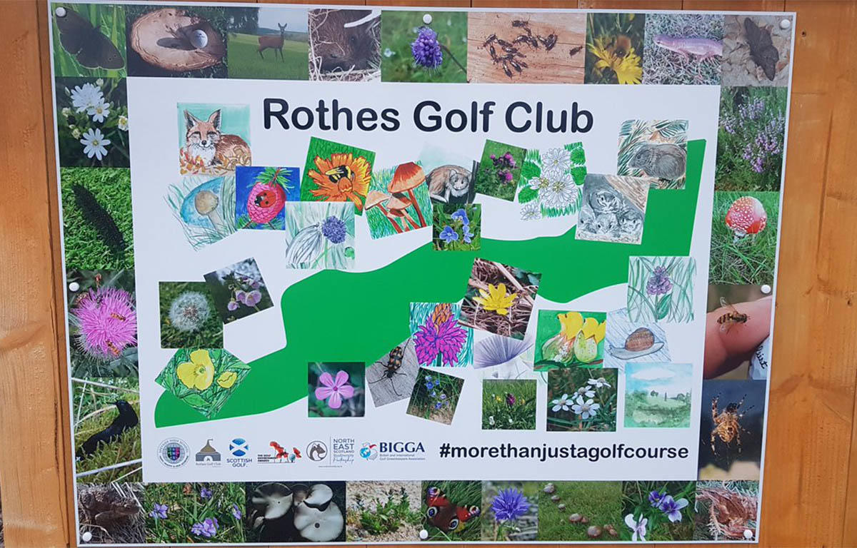 Environment Board at Rothes