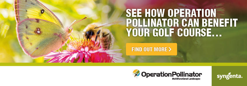 Syngenta Pollinator