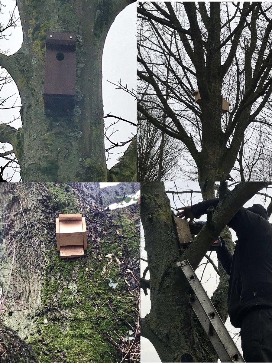 Stirling's bat boxes